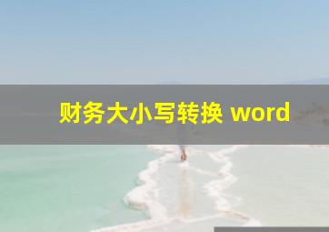 财务大小写转换 word